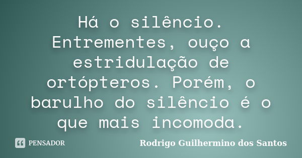 Há o silêncio. Entrementes, ouço a estridulação de ortópteros. Porém, o barulho do silêncio é o que mais incomoda.... Frase de Rodrigo Guilhermino dos Santos.