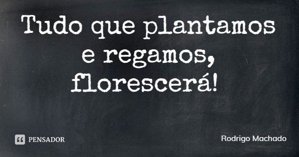 Tudo que plantamos e regamos, florescerá!... Frase de Rodrigo Machado.