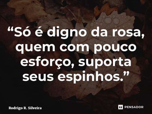 ⁠⁠“Só é digno da rosa, quem com pouco esforço, suporta seus espinhos.”... Frase de Rodrigo R. Silveira.