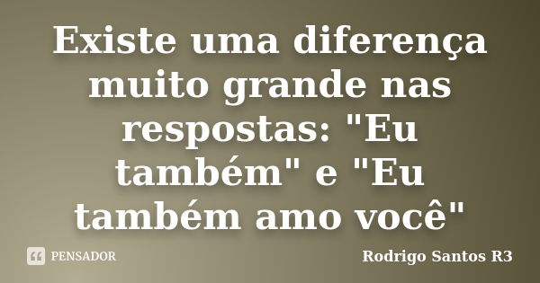 Existe uma diferença muito grande nas respostas: "Eu também" e "Eu também amo você"... Frase de Rodrigo Santos R3.