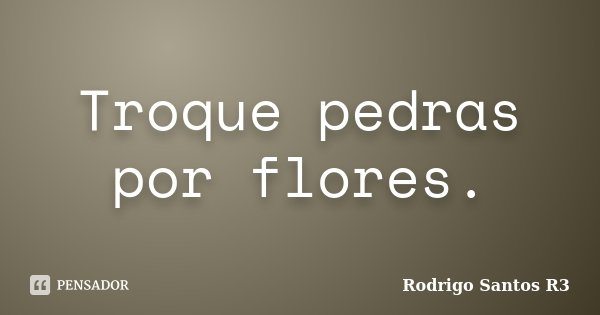 Troque pedras por flores.... Frase de Rodrigo Santos R3.