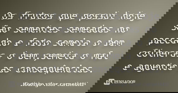 Os frutos que possui hoje são sementes semeadas no passado e fato semeia o bem colheras o bem,semeia o mal e aguente as consequências.... Frase de Rodrigo vitor carnelutti.