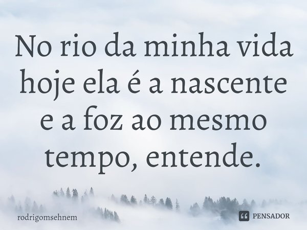 ⁠No rio da minha vida hoje ela é a nascente e a foz ao mesmo tempo, entende.... Frase de rodrigomsehnem.