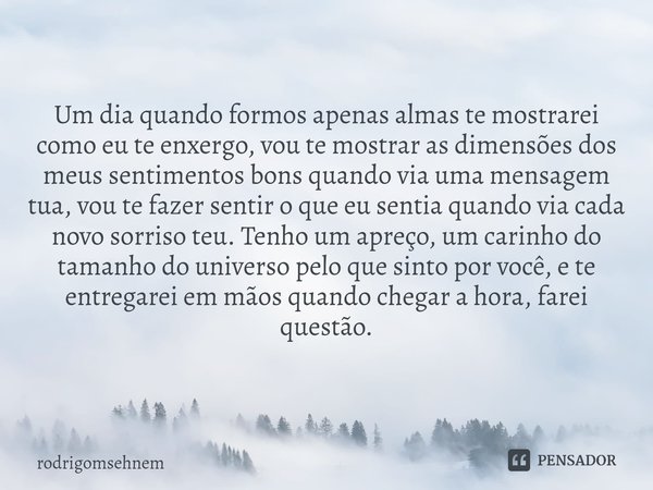 Um dia quando formos apenas almas te mostrarei como eu te enxergo, vou te mostrar as dimensões dos meus sentimentos bons quando via uma mensagem tua, vou te fa... Frase de rodrigomsehnem.