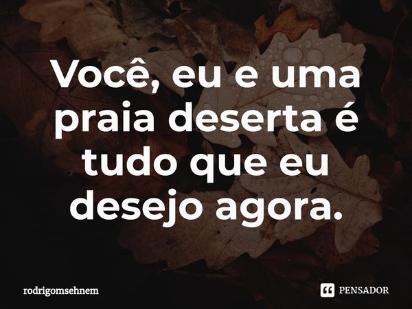 ⁠Você, eu e uma praia deserta é tudo que eu desejo agora.... Frase de rodrigomsehnem.