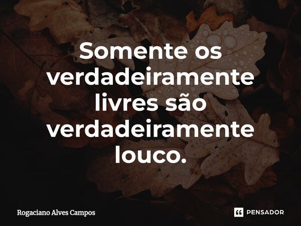 ⁠Somente os verdadeiramente livres são verdadeiramente louco.... Frase de Rogaciano Alves Campos.