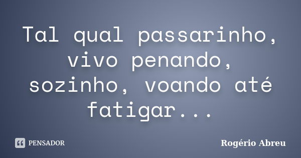 Tal qual passarinho, vivo penando, sozinho, voando até fatigar...... Frase de Rogério Abreu.