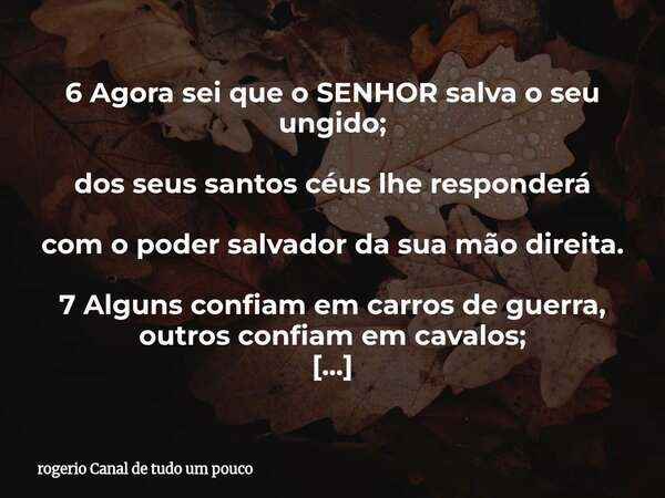 6 Agora sei que o SENHOR salva o seu ungido; dos seus santos céus lhe responderá com o poder salvador da sua mão direita. 7 Alguns confiam em carros de guerra, ... Frase de rogerio Canal de tudo um pouco.