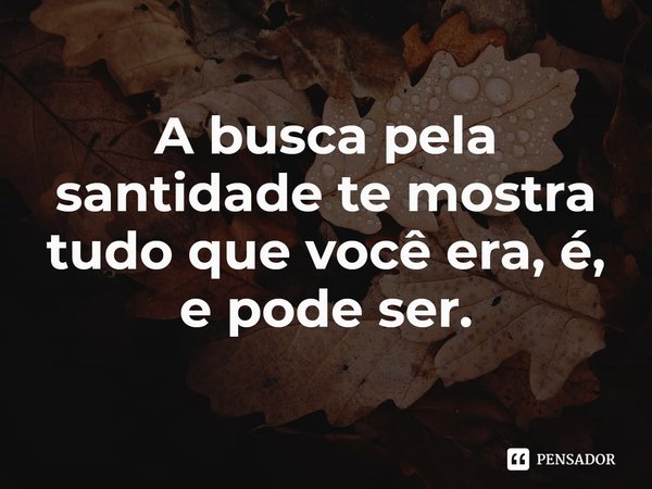 ⁠A busca pela santidade te mostra tudo que você era, é, e pode ser.... Frase de Rogerio Cerqueira Jr.