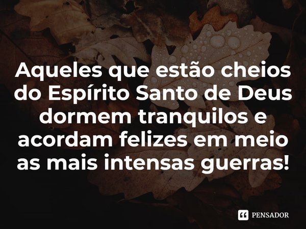 ⁠Aqueles que estão cheios do Espírito Santo de Deus dormem tranquilos e acordam felizes em meio as mais intensas guerras!... Frase de Rogerio Cerqueira Jr.