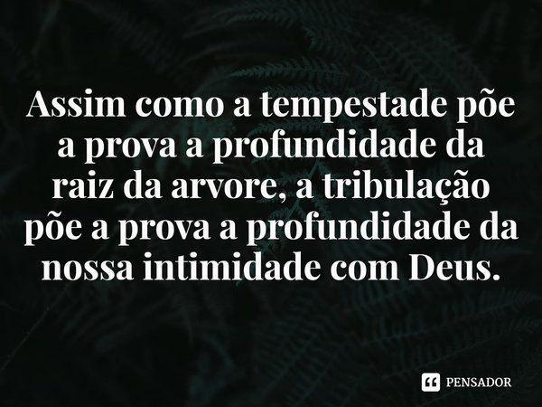 ⁠Assim como a tempestade põe a prova a profundidade da raiz da arvore, a tribulação põe a prova a profundidade da nossa intimidade com Deus.... Frase de Rogerio Cerqueira Jr.