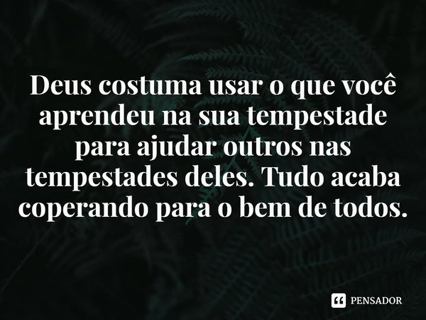 ⁠Deus costuma usar o que você aprendeu na sua tempestade para ajudar outros nas tempestades deles. Tudo acaba coperando para o bem de todos.... Frase de Rogerio Cerqueira Jr.