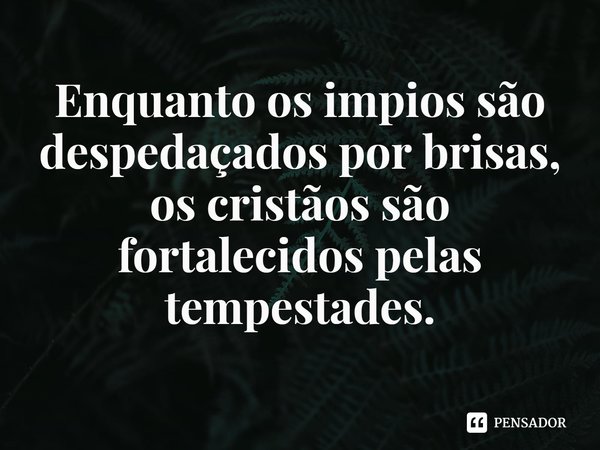 ⁠Enquanto os impios são despedaçados por brisas, os cristãos são fortalecidos pelas tempestades.... Frase de Rogerio Cerqueira Jr.