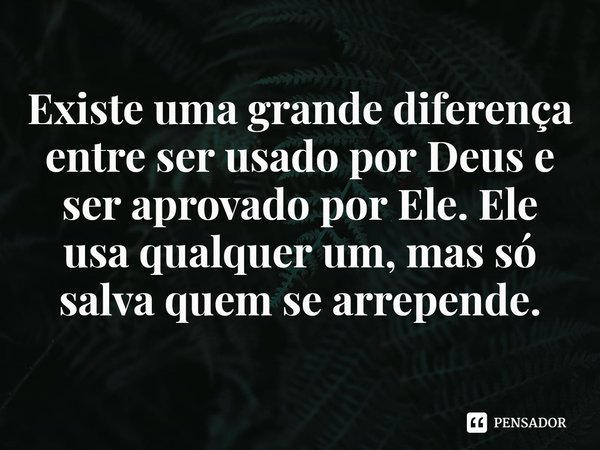 ⁠Existe uma grande diferença entre ser usado por Deus e ser aprovado por Ele. Ele usa qualquer um, mas só salva quem se arrepende.... Frase de Rogerio Cerqueira Jr.