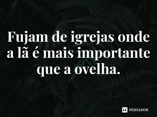 ⁠Fujam de igrejas onde a lã é mais importante que a ovelha.... Frase de Rogerio Cerqueira Jr.