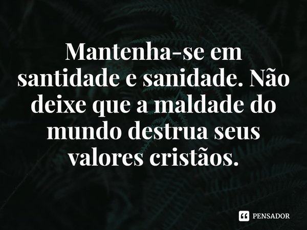 ⁠Mantenha-se em santidade e sanidade. Não deixe que a maldade do mundo destrua seus valores cristãos.... Frase de Rogerio Cerqueira Jr.