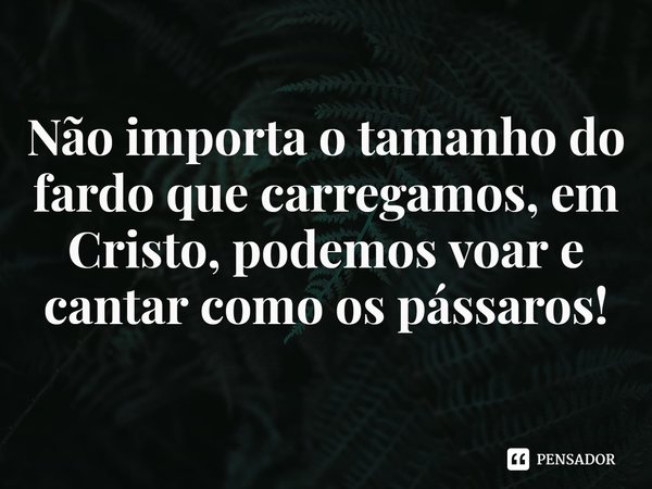 ⁠Não importa o tamanho do fardo que carregamos, em Cristo, podemos voar e cantar como os pássaros!... Frase de Rogerio Cerqueira Jr.