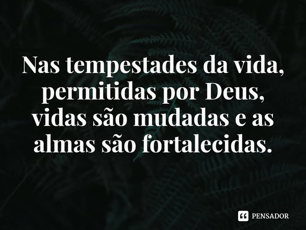 ⁠
Nas tempestades da vida, permitidas por Deus, vidas são mudadas e as almas são fortalecidas.... Frase de Rogerio Cerqueira Jr.