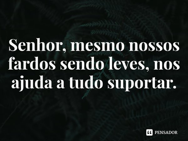 ⁠Senhor, mesmo nossos fardos sendo leves, nos ajuda a tudo suportar.... Frase de Rogerio Cerqueira Jr.