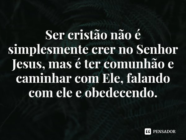 ⁠Ser cristão não é simplesmente crer no Senhor Jesus, mas é ter comunhão e caminhar com Ele, falando com ele e obedecendo.... Frase de Rogerio Cerqueira Jr.