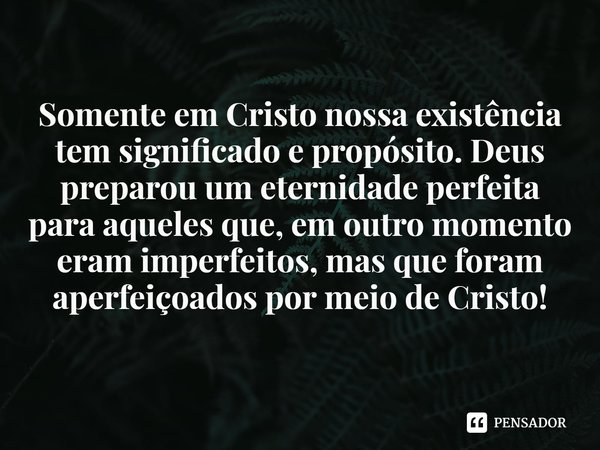 Somente em Cristo nossa existência tem significado e propósito. Deus preparou um eternidade perfeita para aqueles que, em outro momento eram imperfeitos, mas qu... Frase de Rogerio Cerqueira Jr.