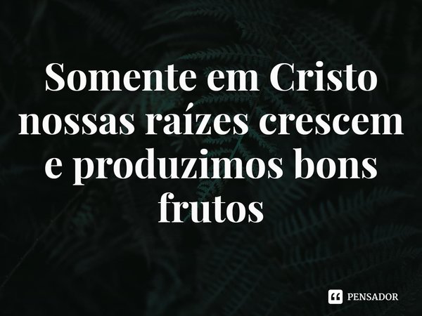⁠Somente em Cristo nossas raízes crescem e produzimos bons frutos... Frase de Rogerio Cerqueira Jr.