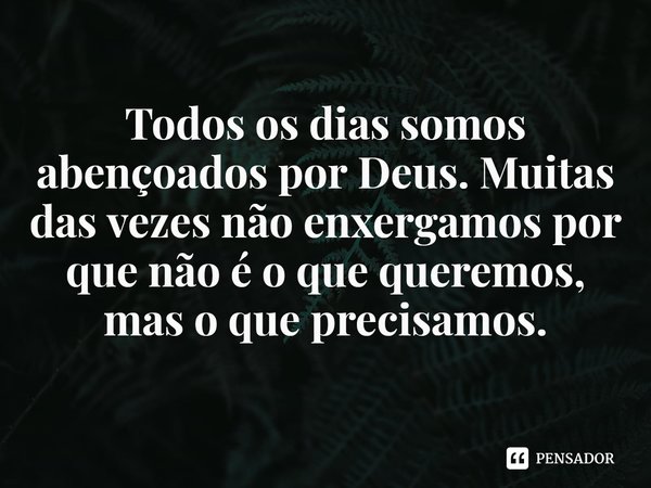 ⁠Todos os dias somos abençoados por Deus. Muitas das vezes não enxergamos por que não é o que queremos, mas o que precisamos.... Frase de Rogerio Cerqueira Jr.