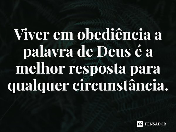 ⁠Viver em obediência a palavra de Deus é a melhor resposta para qualquer circunstância.... Frase de Rogerio Cerqueira Jr.