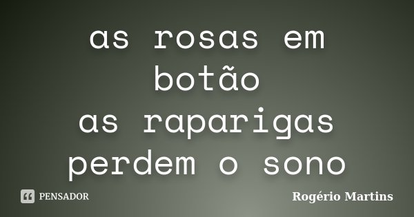 as rosas em botão as raparigas perdem o sono... Frase de Rogério Martins.