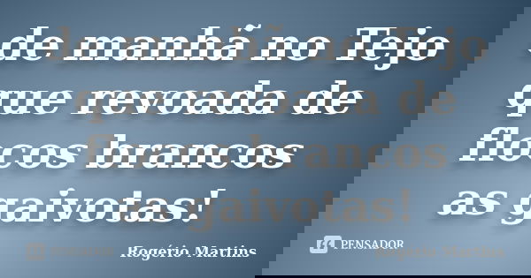 de manhã no Tejo
que revoada de flocos brancos
as gaivotas!... Frase de Rogério Martins.