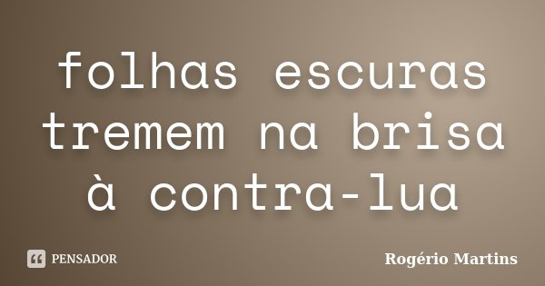 folhas escuras
tremem na brisa
à contra-lua... Frase de Rogério Martins.