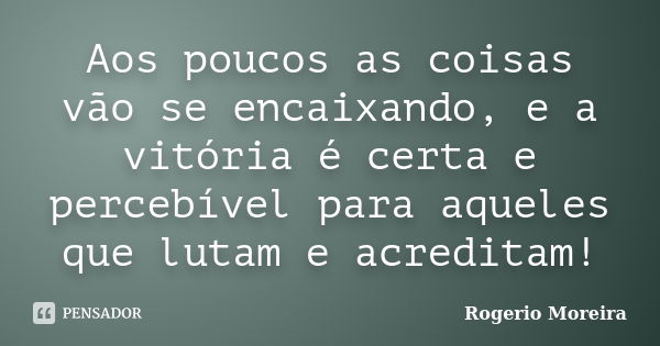 Aos poucos as coisas vão se encaixando, e a vitória é certa e percebível para aqueles que lutam e acreditam!... Frase de Rogerio Moreira.