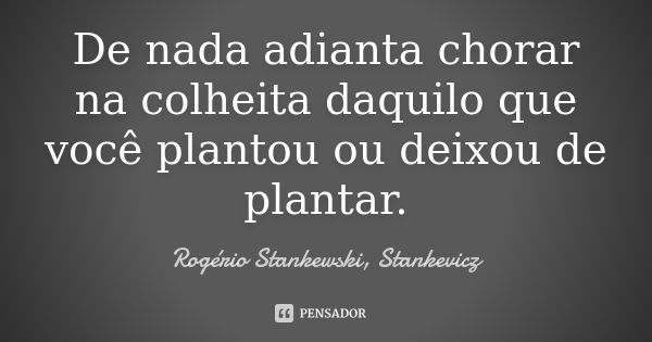 De nada adianta chorar na colheita daquilo que você plantou ou deixou de plantar.... Frase de Rogério Stankewski Stankevicz.