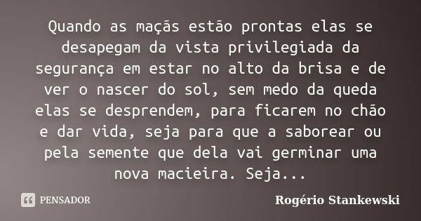 Quando as maçãs estão prontas elas se desapegam da vista privilegiada da segurança em estar no alto da brisa e de ver o nascer do sol, sem medo da queda elas se... Frase de Rogério Stankewski.