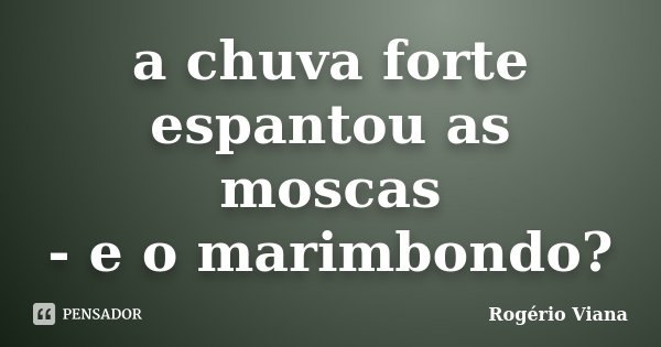 a chuva forte espantou as moscas - e o marimbondo?... Frase de Rogério Viana.