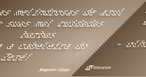 as melindrosas de azul e suas mal cuidadas barbas - olha a cabeleira do Zezé!... Frase de Rogério Viana.