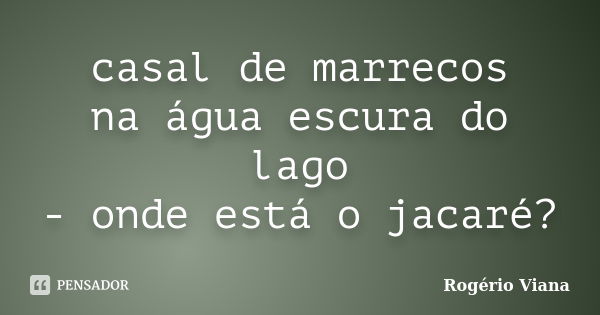 casal de marrecos na água escura do lago - onde está o jacaré?... Frase de Rogério Viana.