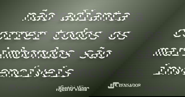 não adianta correr todos os marimbondos são invencíveis... Frase de Rogério Viana.