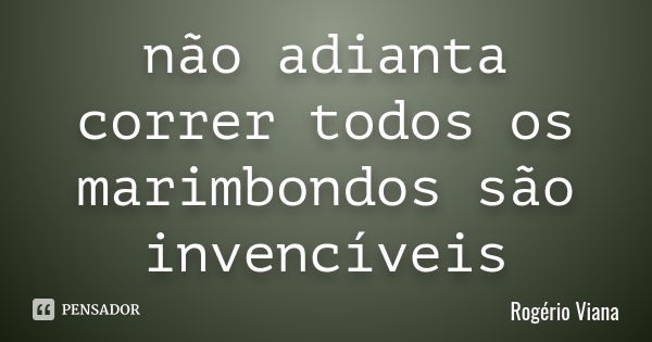 não adianta correr todos os marimbondos são invencíveis... Frase de Rogério Viana.