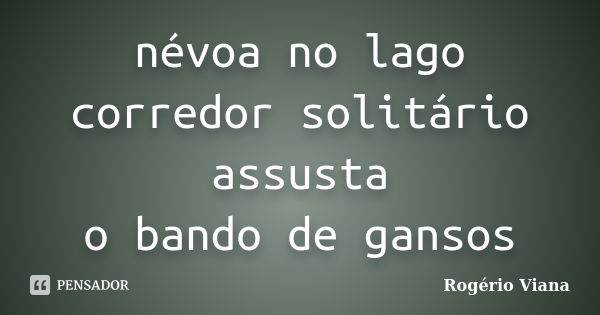 névoa no lago corredor solitário assusta o bando de gansos... Frase de Rogério Viana.