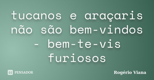 tucanos e araçaris não são bem-vindos - bem-te-vis furiosos... Frase de Rogério Viana.