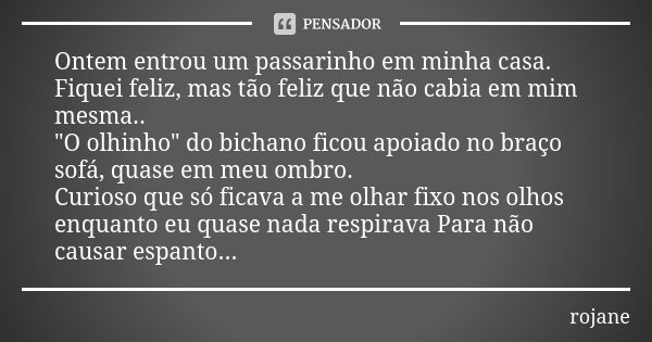 Ontem entrou um passarinho em minha casa. Fiquei feliz, mas tão feliz que não cabia em mim mesma.. "O olhinho" do bichano ficou apoiado no braço sofá,... Frase de rojane.