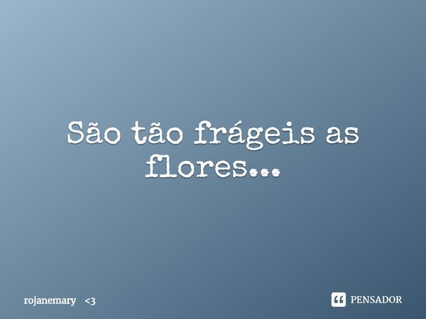 ⁠São tão frágeis as flores...... Frase de rojanemary 3.