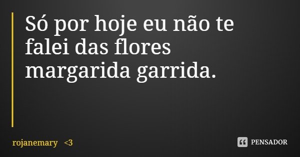 Só por hoje eu não te falei das flores margarida garrida.... Frase de rojanemary 3.