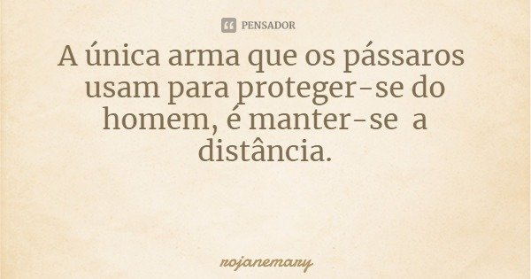 A única arma que os pássaros usam para proteger-se do homem, é manter-se a distância.... Frase de rojanemary.