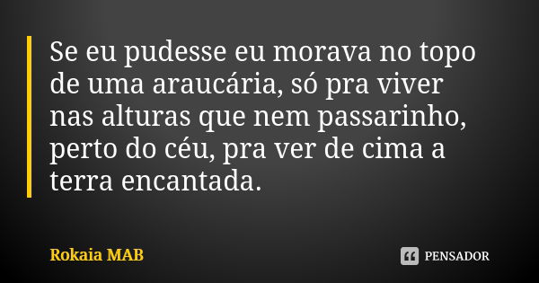 Se eu pudesse eu morava no topo de uma araucária, só pra viver nas alturas que nem passarinho, perto do céu, pra ver de cima a terra encantada.... Frase de Rokaia MAB.