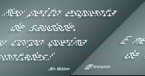 Meu peito esquenta de saudade. E meu corpo queima de vontades!... Frase de Ro Matos.