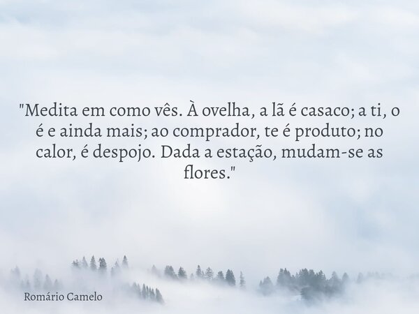 "Medita em como vês. À ovelha, a lã é casaco; a ti, o é e ainda mais; ao comprador, te é produto; no calor, é despojo. Dada a estação, mudam-se as flores.&... Frase de Romário Camelo.