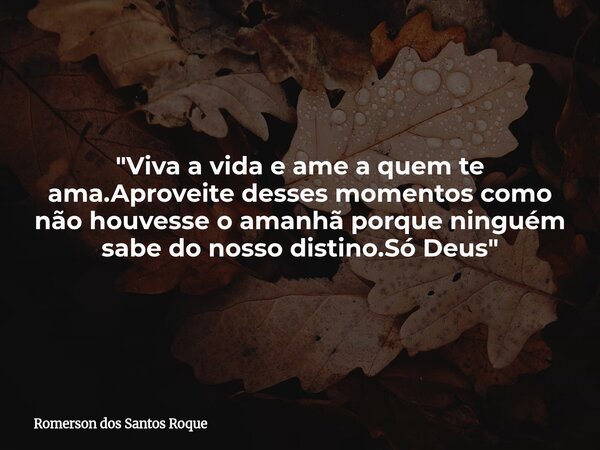 "Viva a vida e ame a quem te ama.Aproveite desses momentos como não houvesse o amanhã porque ninguém sabe do nosso distino.Só Deus"... Frase de Romerson dos Santos Roque.