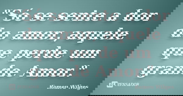 "Só se sente a dor do amor, aquele que perde um grande Amor."... Frase de Romeu Wilges.